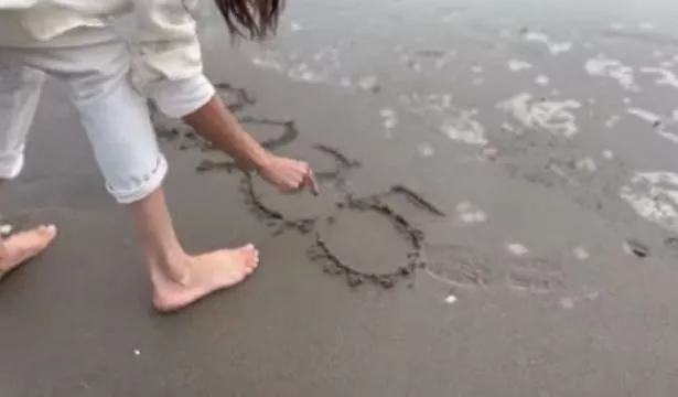 热文 第241页