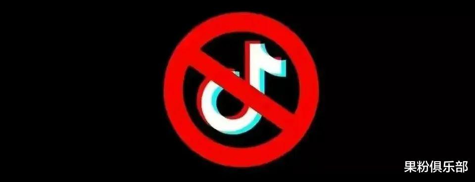 看点 第204页